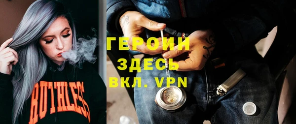 индика Медвежьегорск