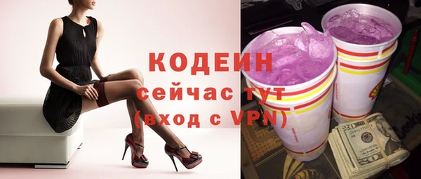 индика Медвежьегорск