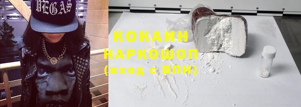 индика Медвежьегорск