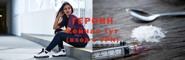 индика Медвежьегорск
