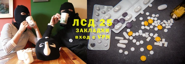 индика Медвежьегорск