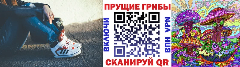 Псилоцибиновые грибы Psilocybine cubensis Сясьстрой